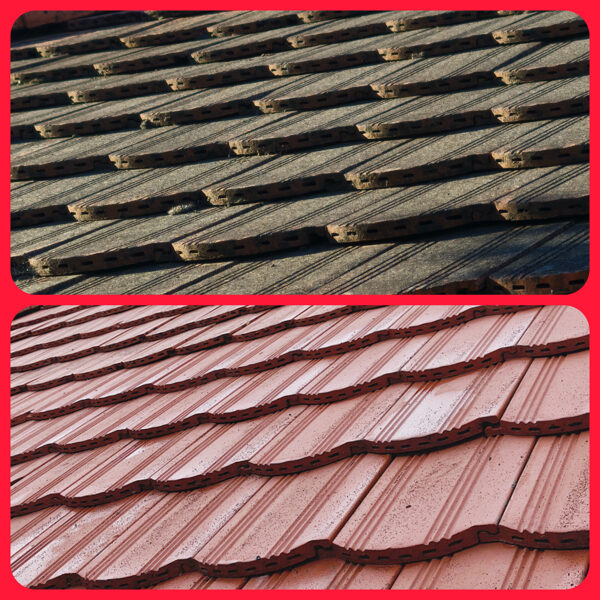 Professzionális tető tisztítás 