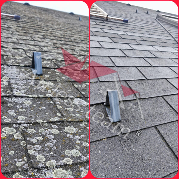 Zsindely tetőmosás