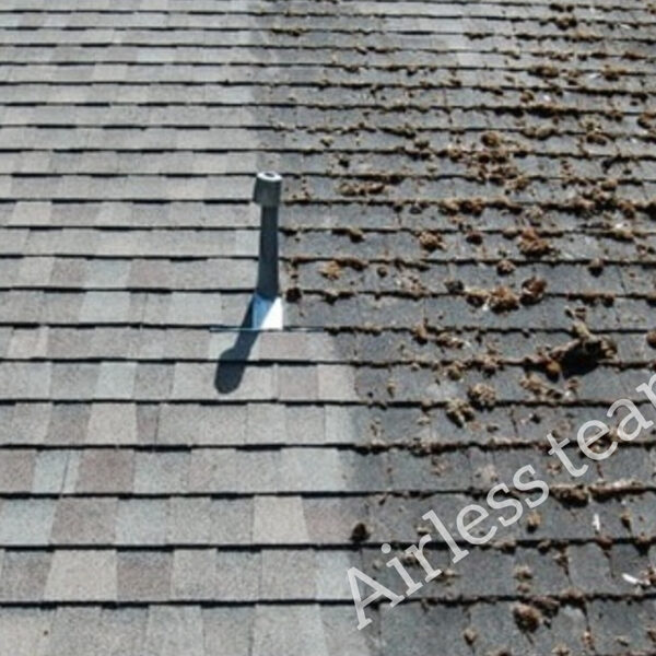 zsindely tisztítás 