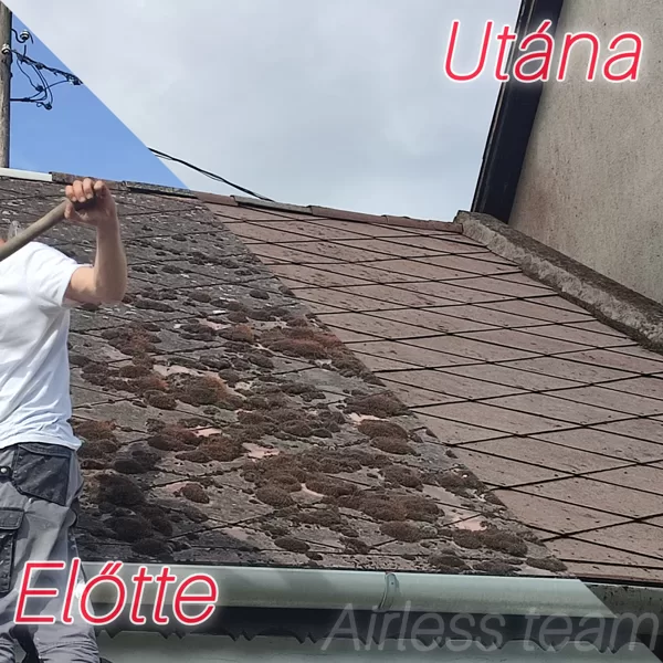 palatető-tisztítás,-moha-eltávolítása.jpg