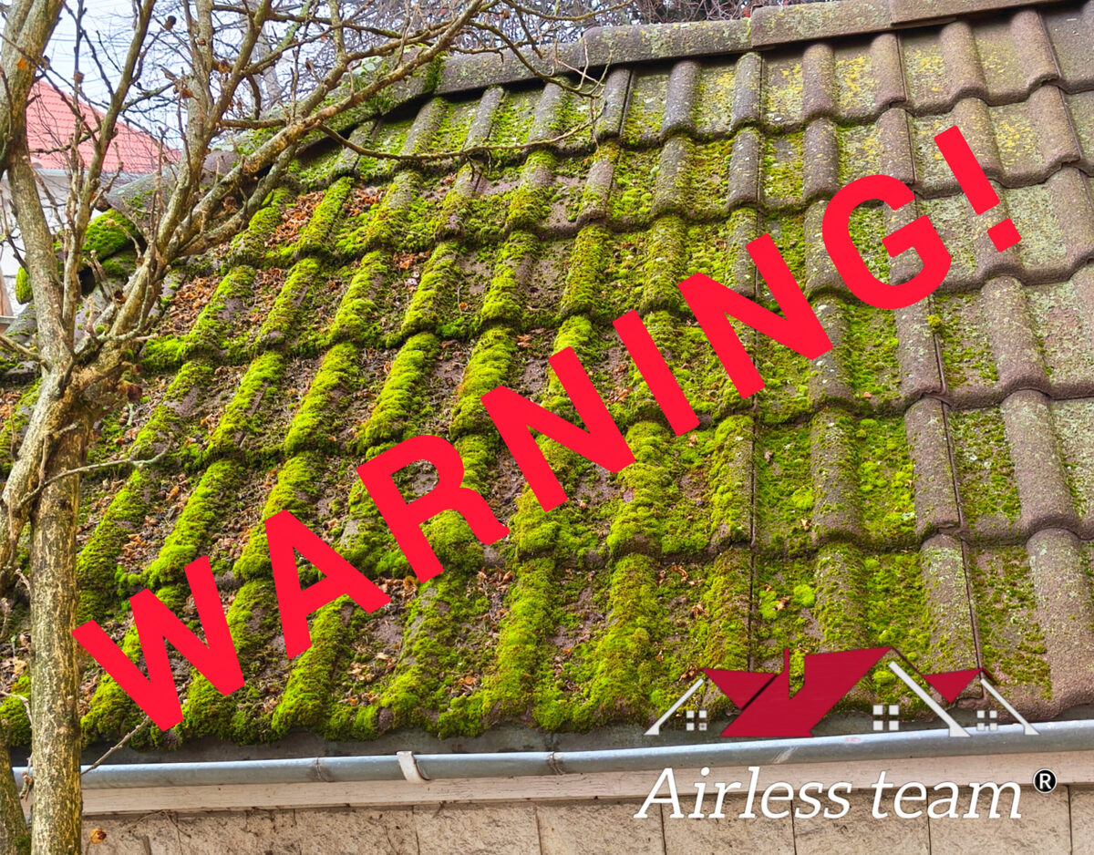 Mohás tető, időzitett bomba