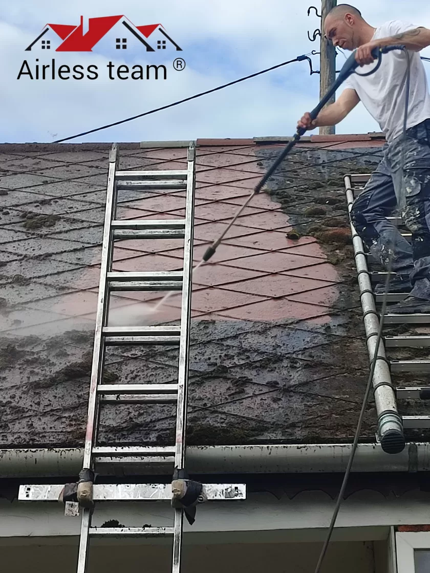 alt="moha eltávolítása palastetőről, tetőmosással, Airless team ®️"